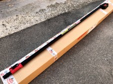 Asta Lisam telescopica per