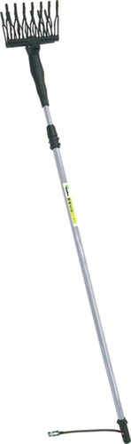 Scuoti olive battiolive - olive,